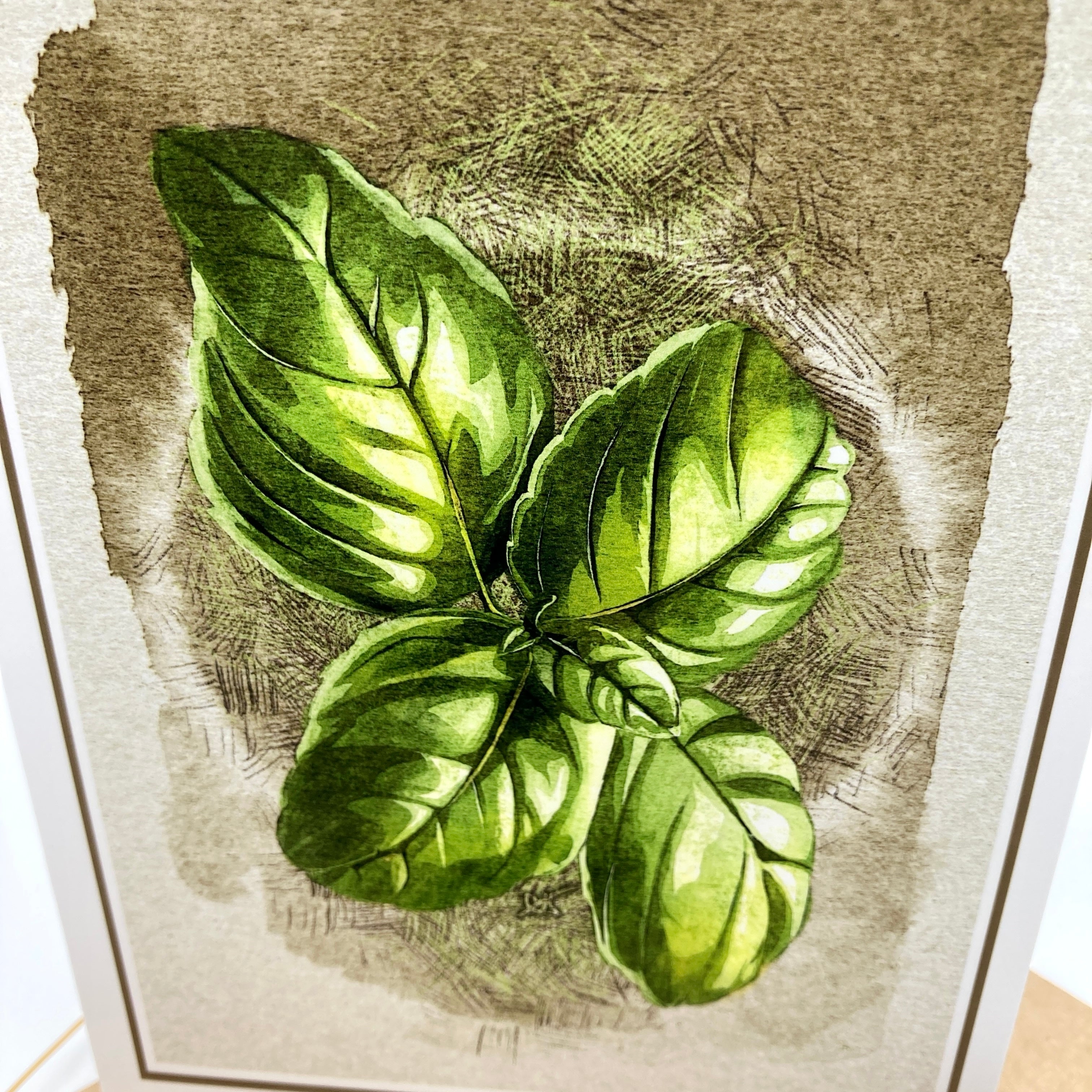 A botanical art print featuring a detailed illustration of fresh green basil leaves on a textured beige and brown background.