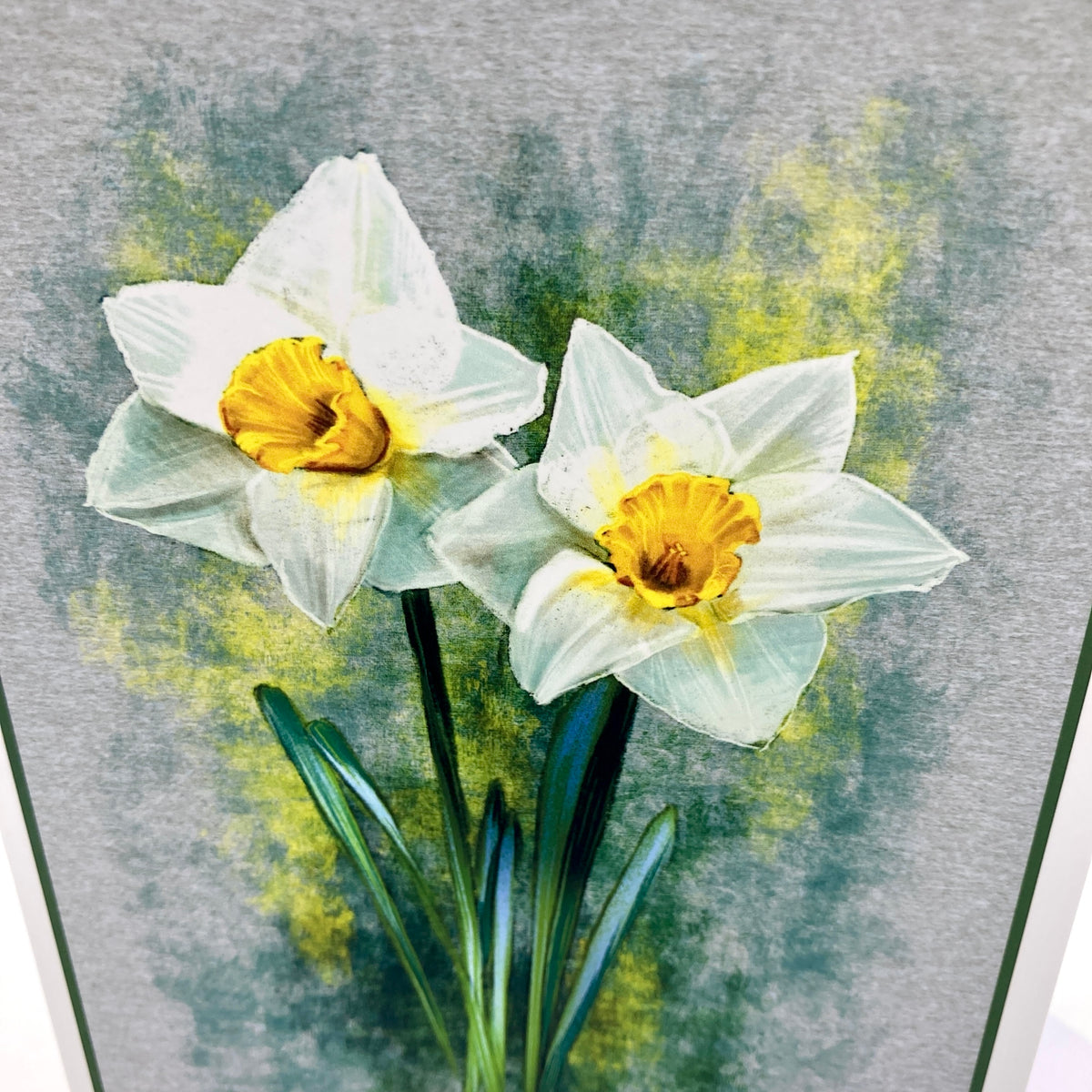 White Daffodil Single Greeting Card