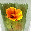 A close-up of a watercolor-style floral print showing a single orange-yellow flower with a green stem against a textured gray-green background.