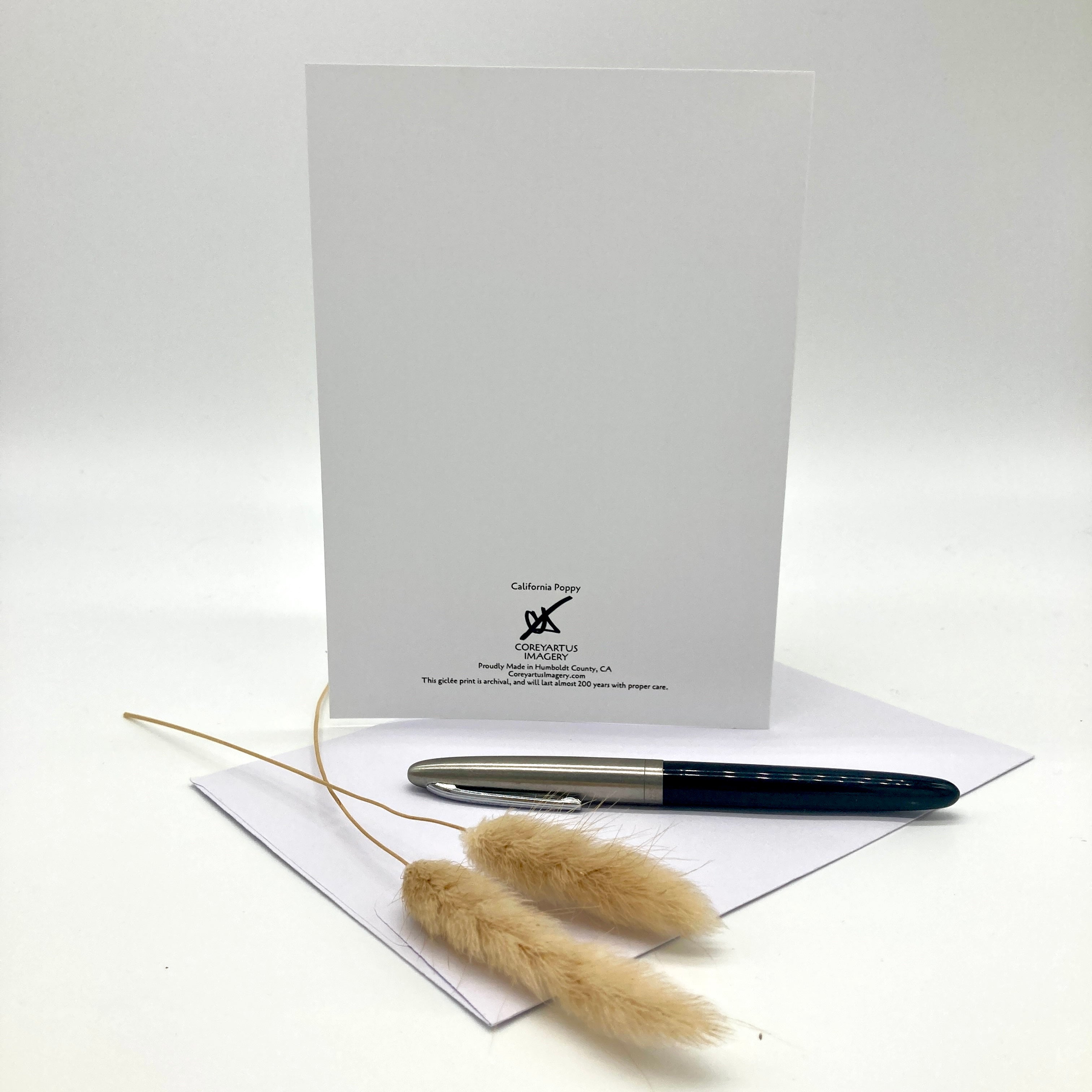 A white greeting card displayed upright with a silver and black pen on white envelopes and dried pampas grass stems in front, against a clean white background.