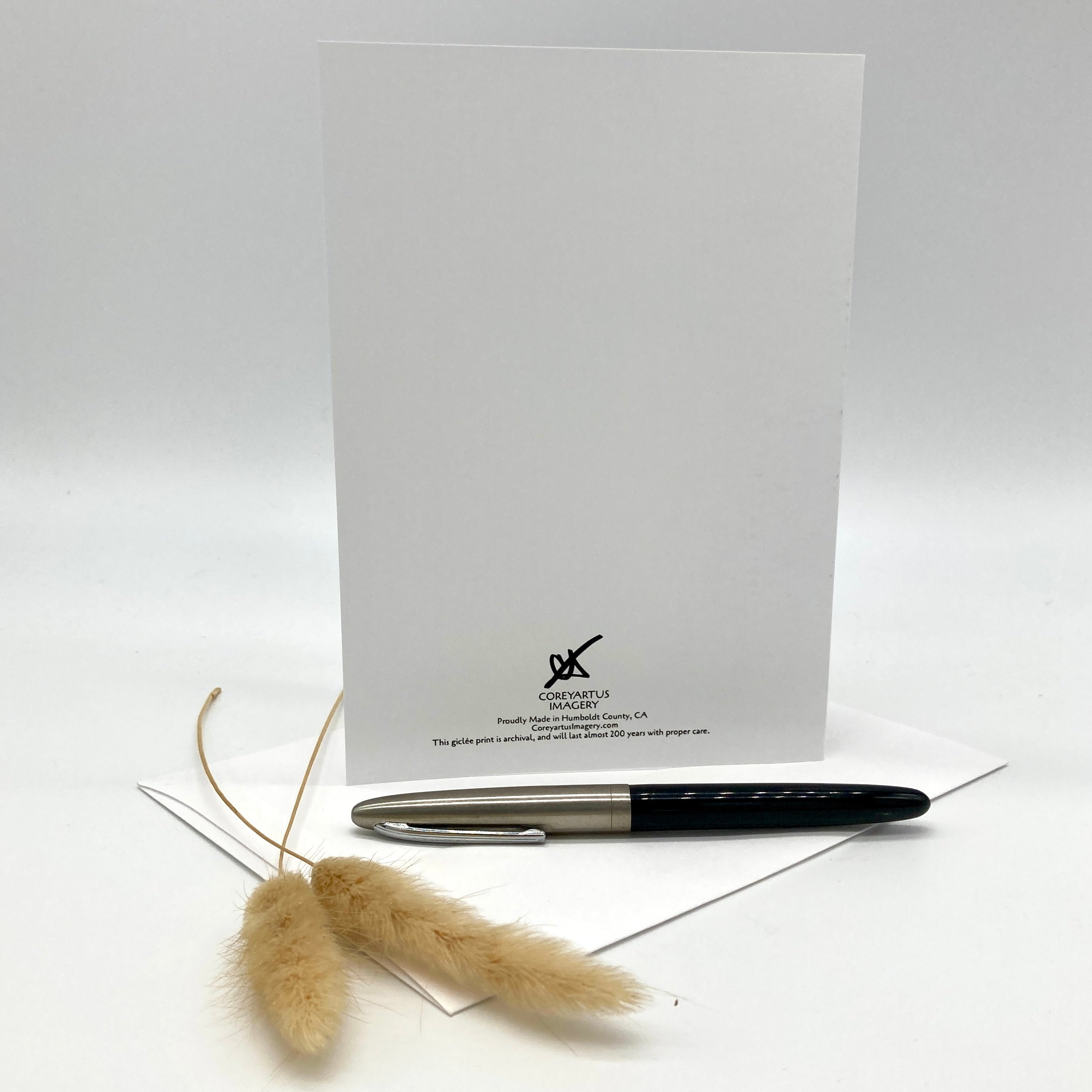 A white greeting card with a black printed logo and address stands upright on a white surface, with a black and silver pen resting across the card and dried beige grass stems in the foreground.