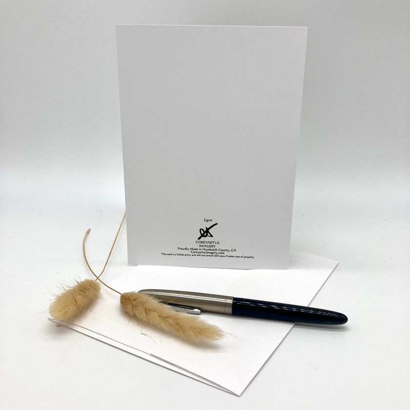 A white stationery card with a black printed logo and address stands upright on a white surface, with a black and silver pen resting across the bottom and two dried beige grasses in the foreground on a light gray studio background.