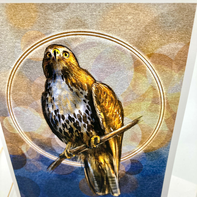 An art print or card featuring a detailed illustration of a hawk perched on a branch, framed by a circular gold line against a textured background with warm beige tones and blue at the bottom.