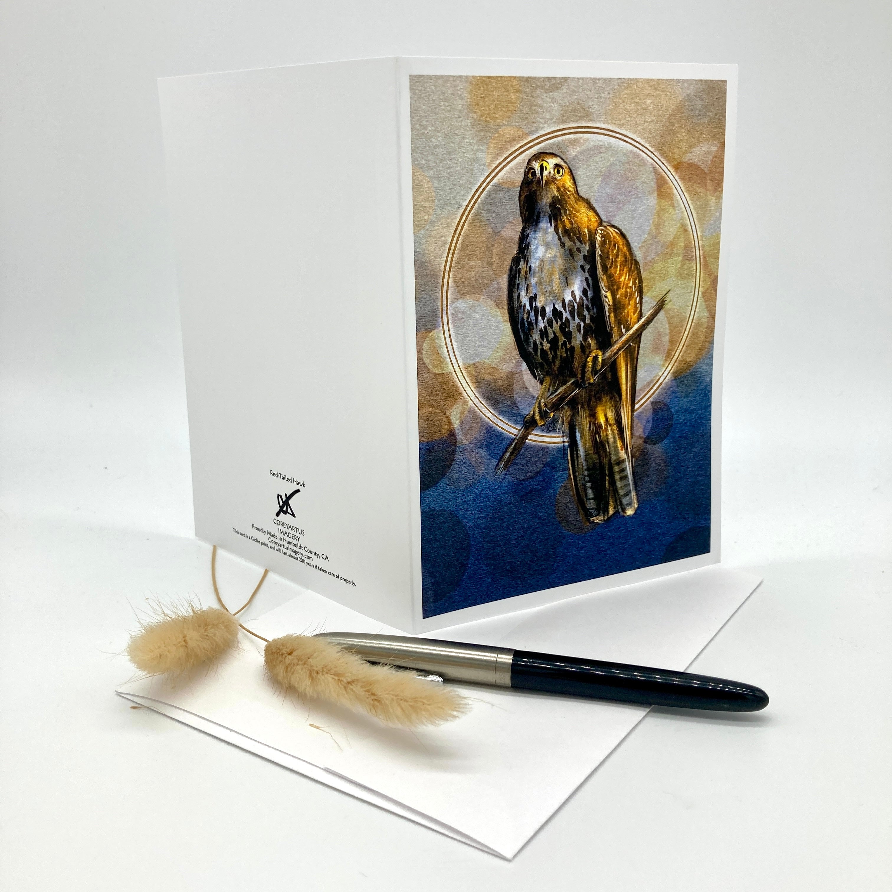 A white greeting card featuring an illustration of a hawk in a circular frame against a blue and beige background, displayed with a black and silver pen and two dried grass stems on a white surface.
