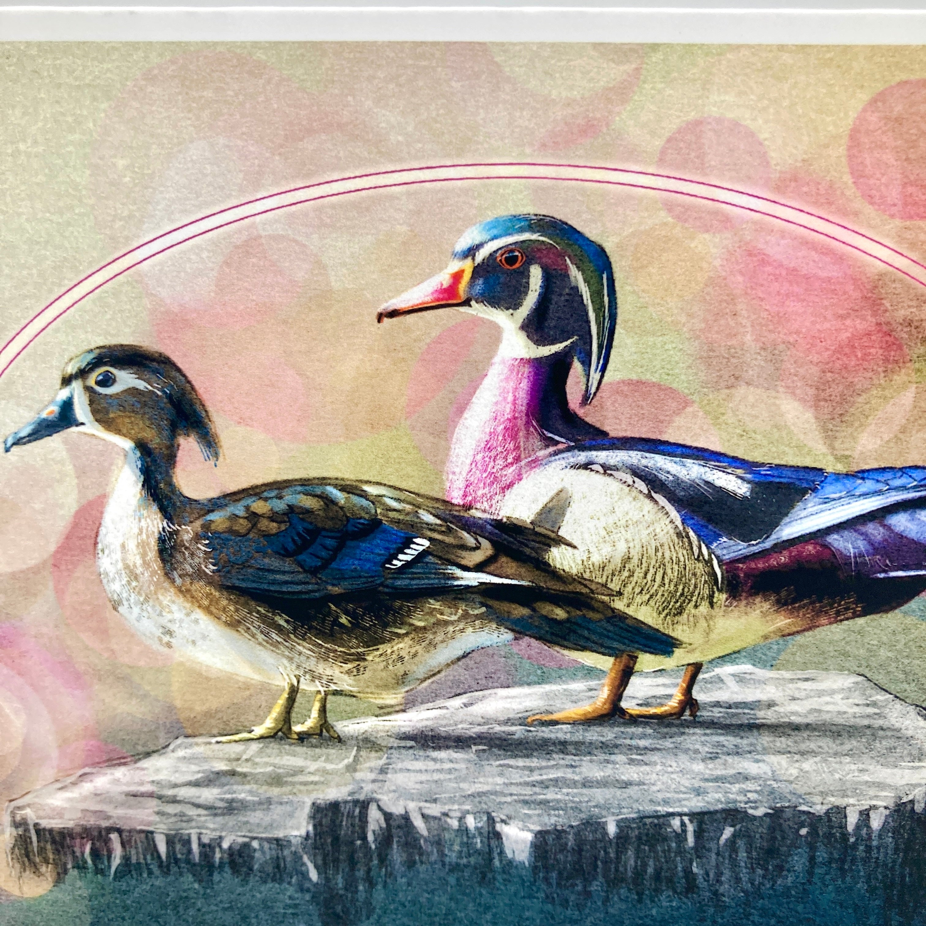 A watercolor-style illustration of two wood ducks standing on a rock, with a soft pink and beige abstract background.