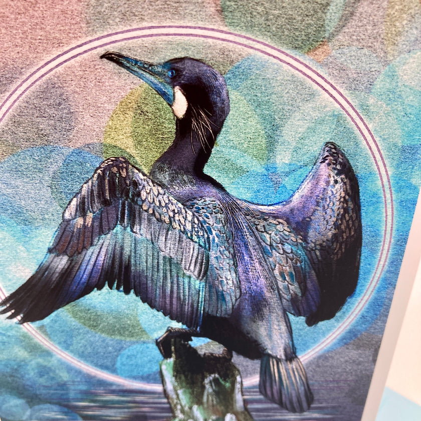 A close-up of a colorful art print or card featuring a detailed illustration of a cormorant with wings spread, set against an abstract circular background in shades of blue, teal, pink, and purple.