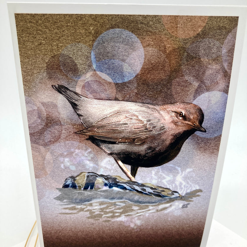 American Dipper Single Greeting Card