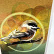 A detailed bird illustration of a small brown and white bird perched on a branch, set against an abstract background of warm brown, gold, and green tones with concentric circular lines.