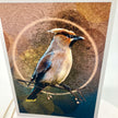 An art print featuring a detailed illustration of a cedar waxbird perched on a branch, set against a textured brown and gold background with a glowing circular motif. The print is shown standing upright against a white background.