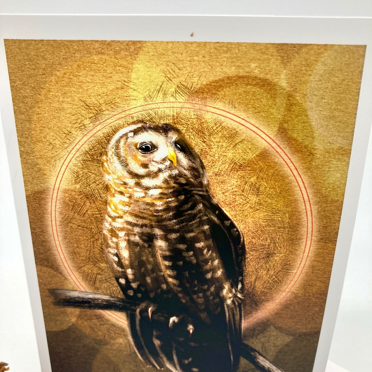 A closeup of an illustrated owl greeting card featuring a detailed illustration of an owl perched against a warm golden circular background.