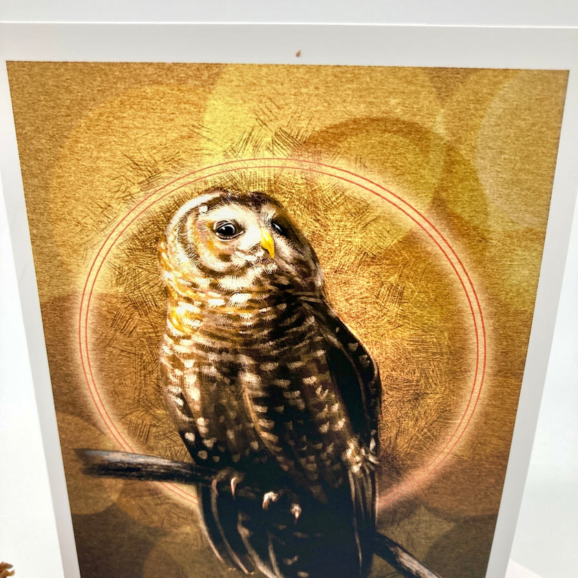 A closeup of an illustrated owl greeting card featuring a detailed illustration of an owl perched against a warm golden circular background.