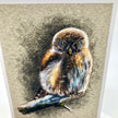 Northern Pygmy Owl Single Greeting Card