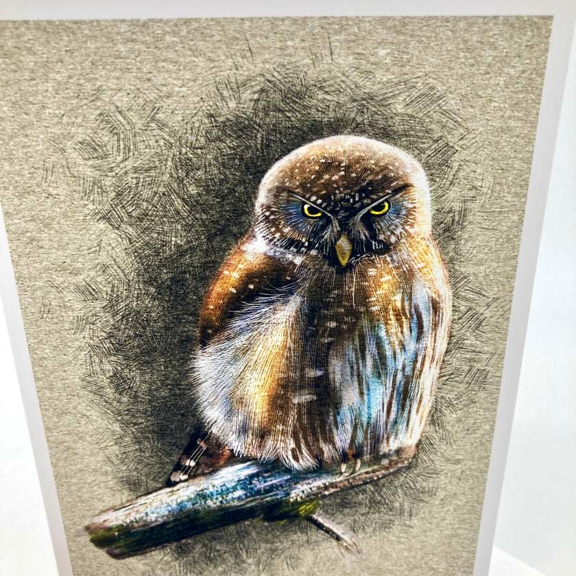 Northern Pygmy Owl Single Greeting Card