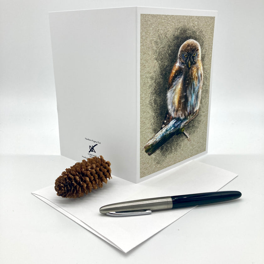 Northern Pygmy Owl Single Greeting Card
