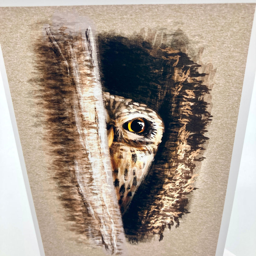 Spotted Owlet Single Greeting Card