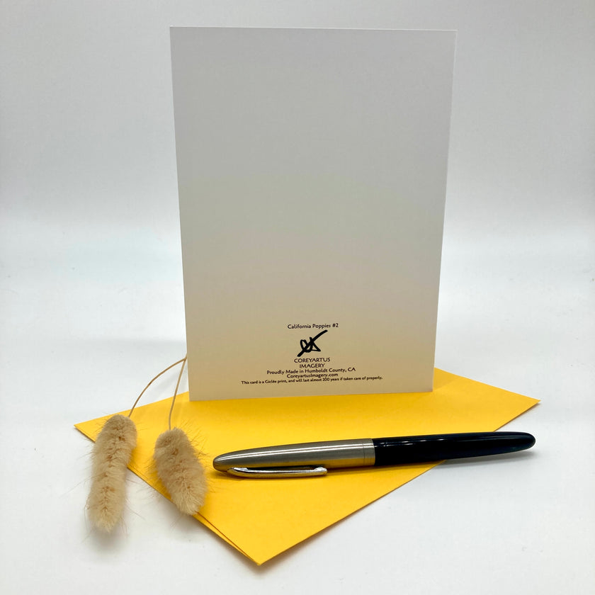 A white greeting card with a black printed logo and address stands upright on a yellow envelope, with a black and silver pen resting across the envelope and two small dried bunny tail stems on a clean white background.
