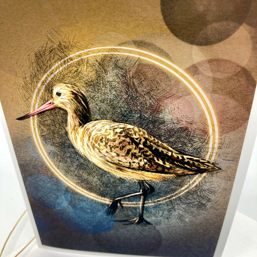A close-up of an art print or card featuring a detailed illustration of a brown and beige bird with a pink beak, set against a textured background with gold circular lines and blue accents.