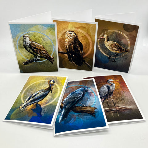 A set of six art greeting cards featuring detailed illustrations of birds, displayed on a clean white background.