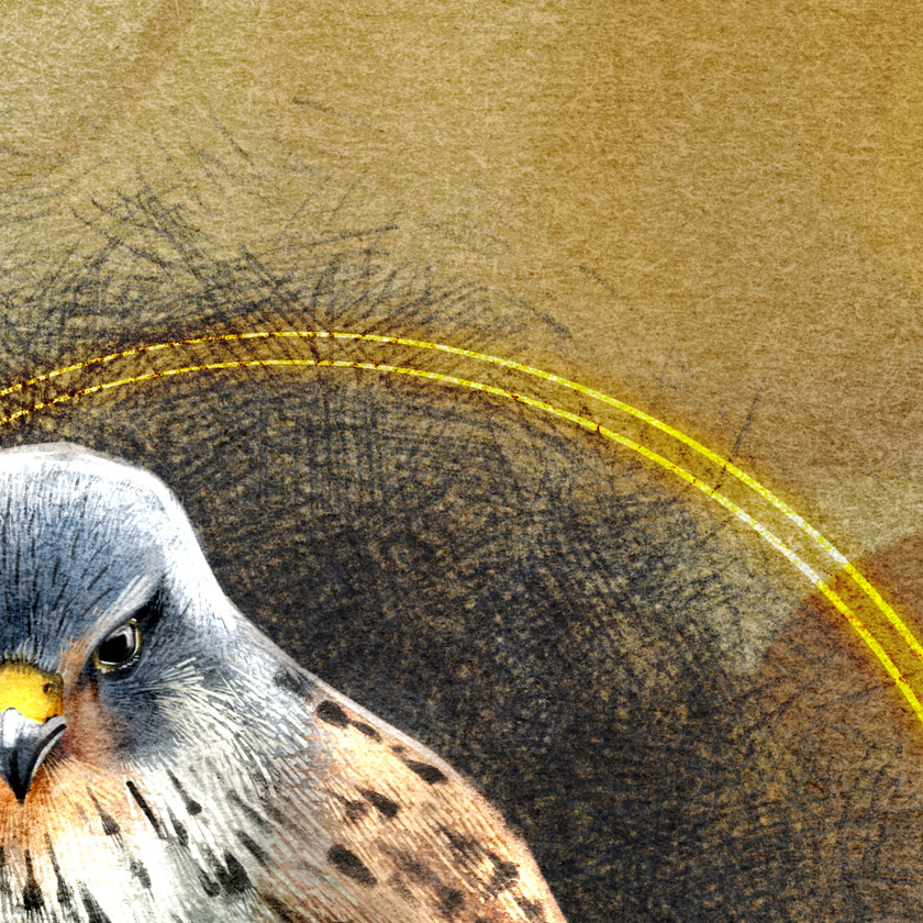Close-up of a bird's head with a textured brown background