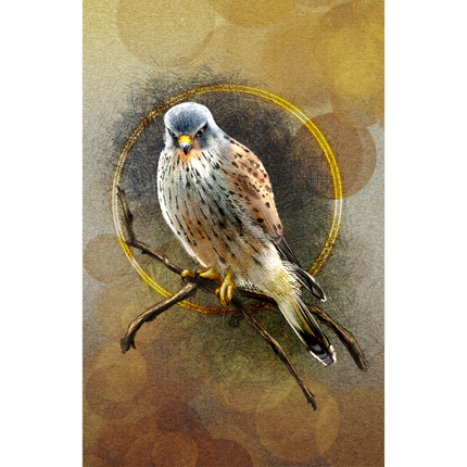Artistic depiction of a kestrel perched on a branch with a textured brown background