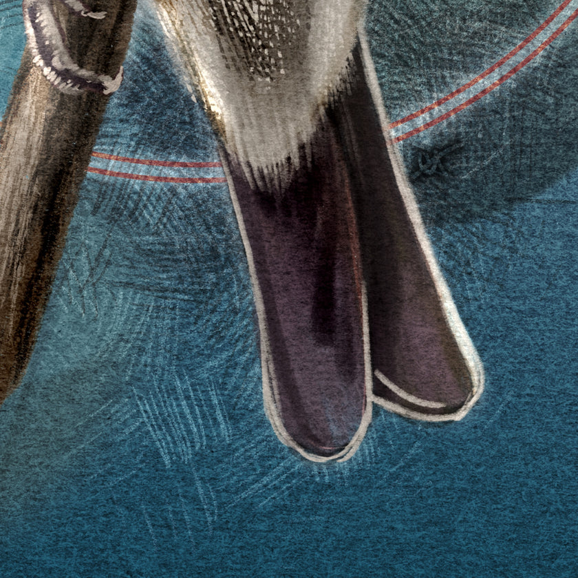 A closeup of a print featuring a Lazuli Bunting tail.