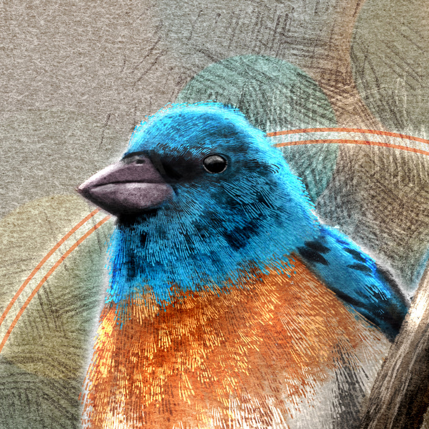 A closeup of a print featuring a Lazuli Bunting head.