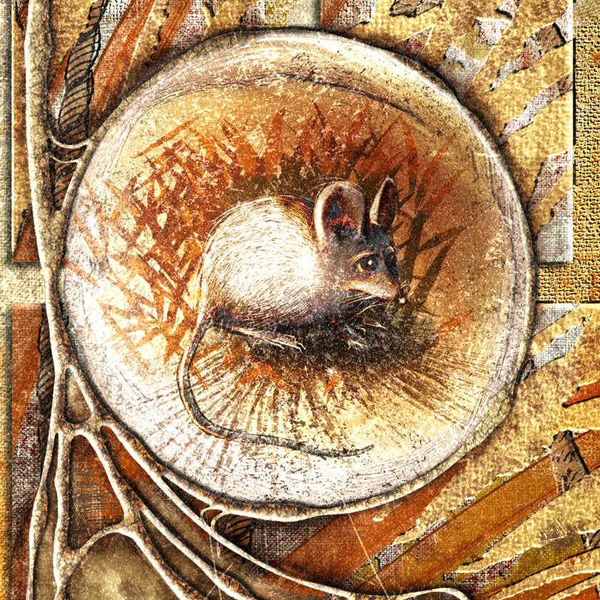 Decorative illustration of a mouse in a circular frame with intricate border design.