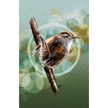 Bird perched on a branch with a bokeh effect background