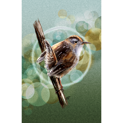 Bird perched on a branch with a bokeh effect background