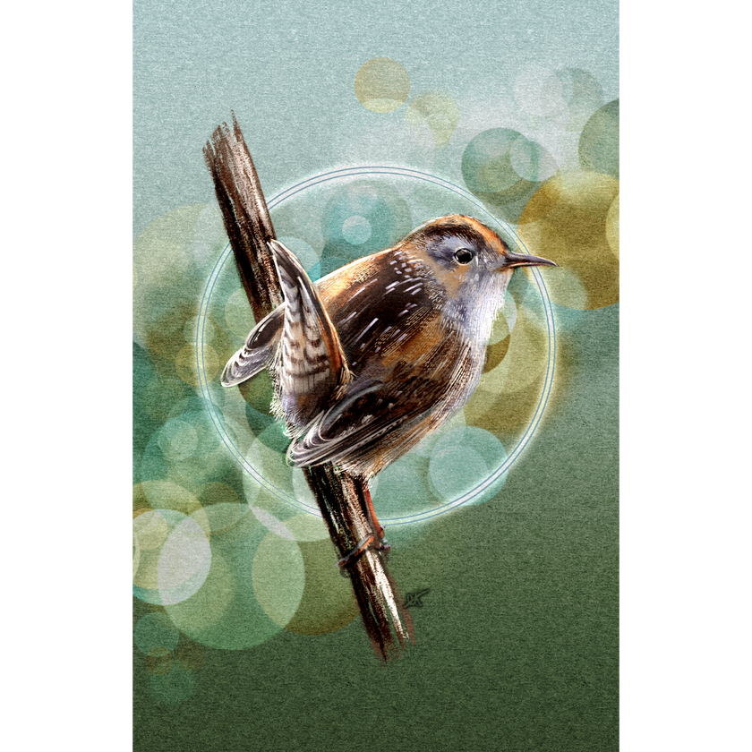 Bird perched on a branch with a bokeh effect background