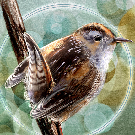 Illustration of a bird perched on a branch with a circular, nature-themed background.