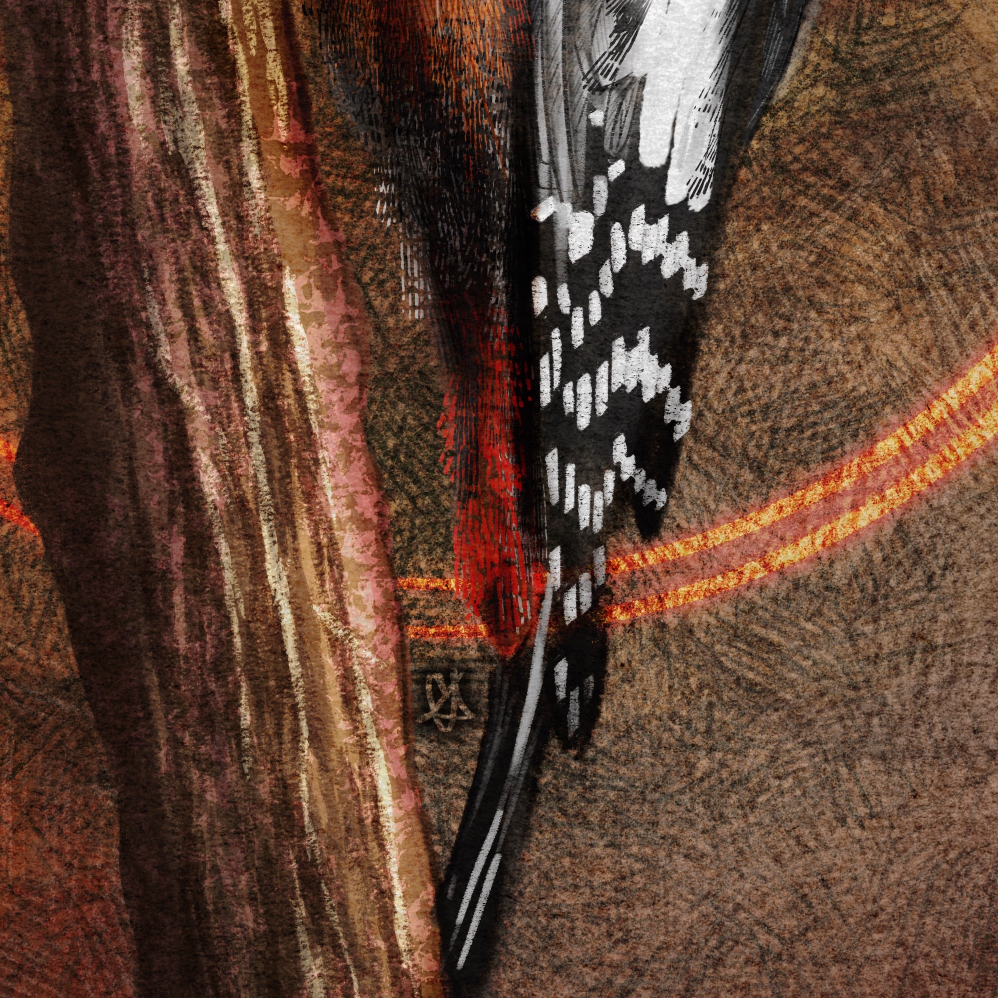 Close-up of a bird's feather against a textured brown background