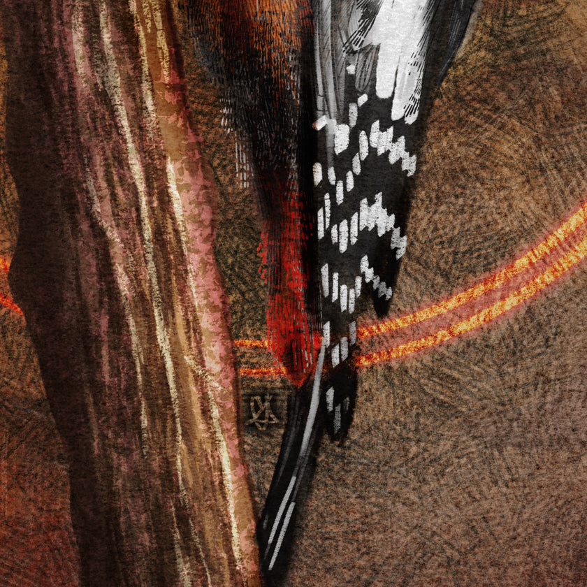 Close-up of a bird's feather against a textured brown background
