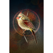 Cardinal bird on a branch with a dark, textured background