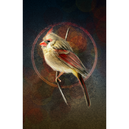 Cardinal bird on a branch with a dark, textured background