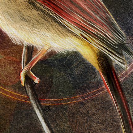 Close-up of a bird perched on a branch with detailed feather textures.
