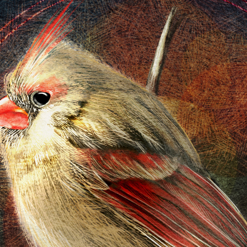 Close-up of a bird with red and gray feathers on a textured brown background