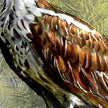 Close-up of a detailed illustration of a bird's feather with brown, white, and black colors.