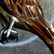Close-up of a bird's wing with detailed feathers on a textured gray background