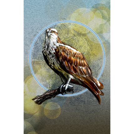 Illustration of an osprey with a blue circle around it on a textured background