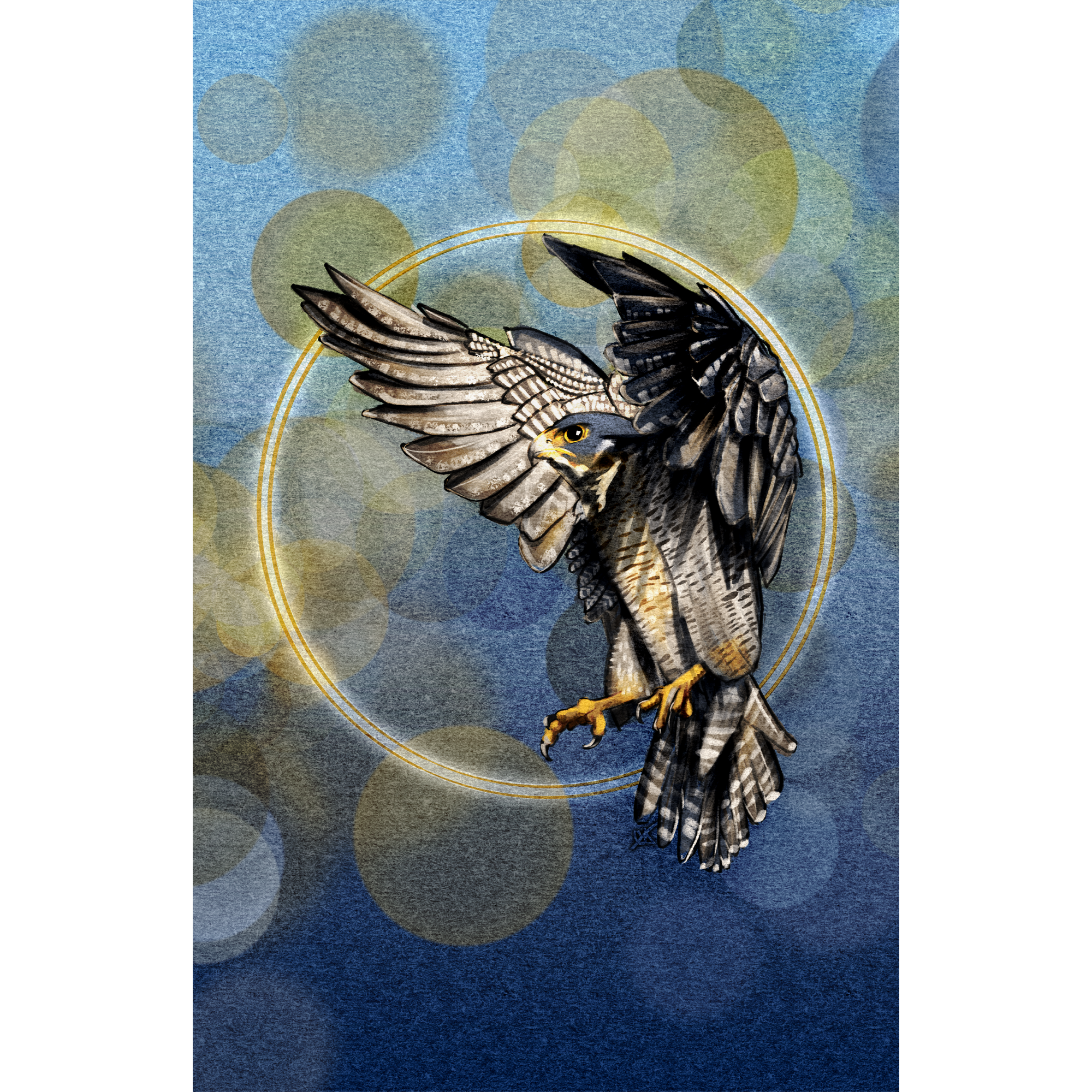Illustration of a bird in flight with a blue and green circular background