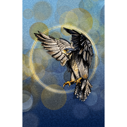 Illustration of a bird in flight with a blue and green circular background