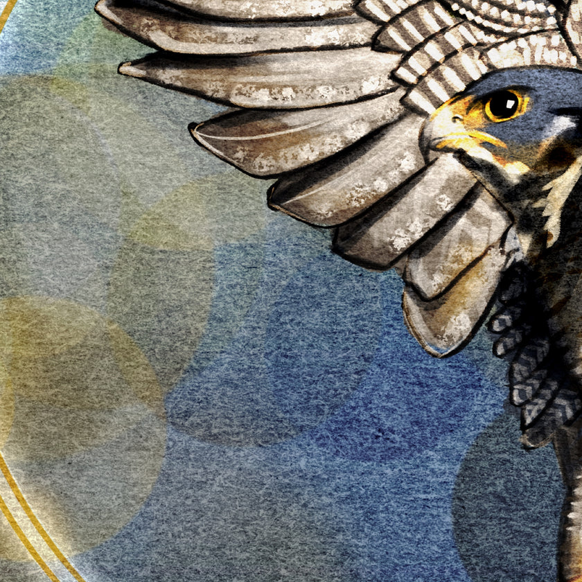 Artistic illustration of a falcon with outstretched wings against a watercolor background