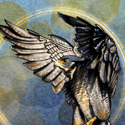 Artistic illustration of a falcon with outstretched wings against a textured background