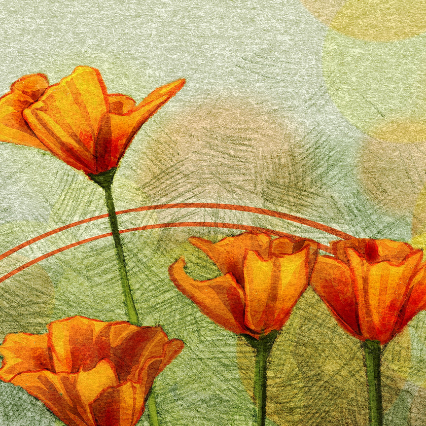 Illustrated California Poppies Bouquet 11x17