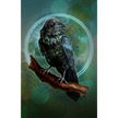 Illustration of a crow perched on a branch with a mystical circle around it on a green background