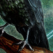 Close-up of a bird's foot on a branch with detailed feather texture.