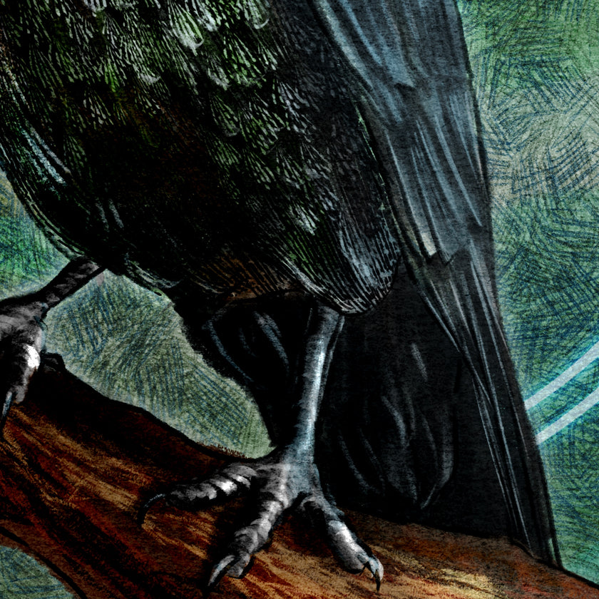 Close-up of a bird's foot on a branch with detailed feather texture.