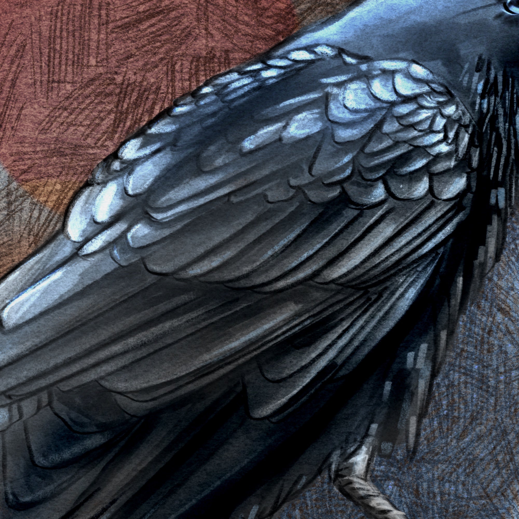 Close-up of a bird's wing with detailed feather texture on a textured background