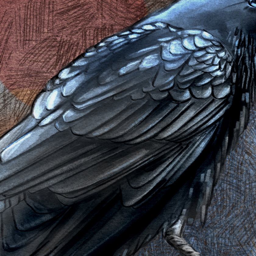 Close-up of a bird's wing with detailed feather texture on a textured background